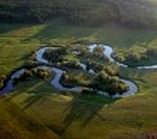 nazwa